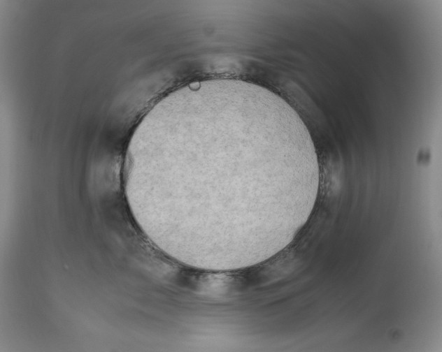 X0000113990717200910231730