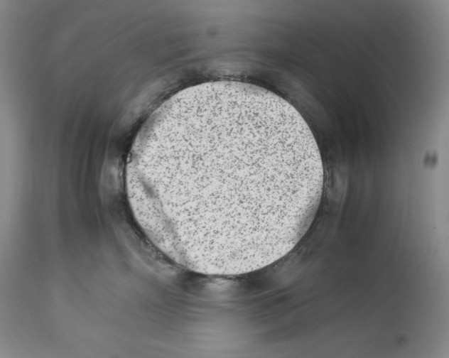 X0000113990718200910231729