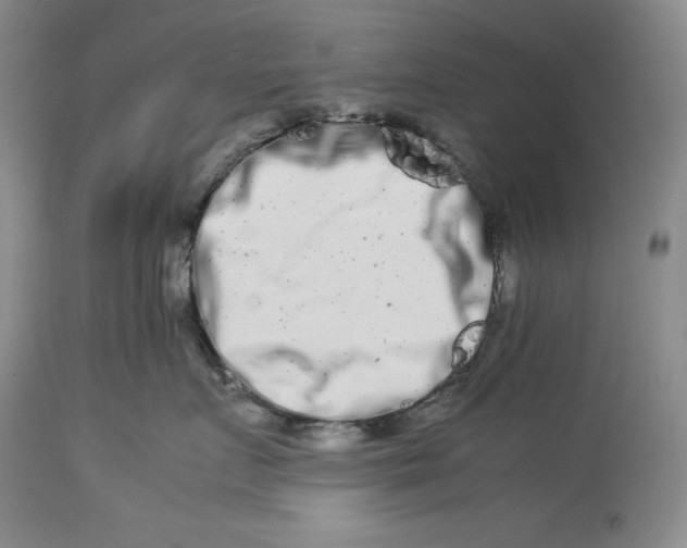 X0000113990719200910231729