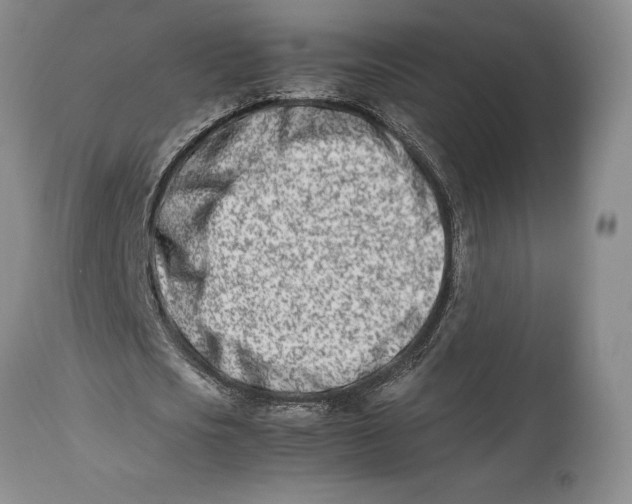 X0000113990721200910231729