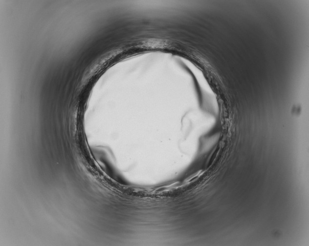 X0000113990722200910231729