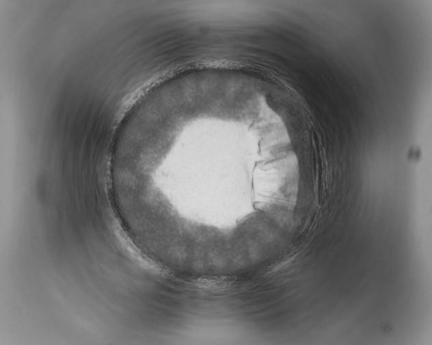 X0000113990725200910231729