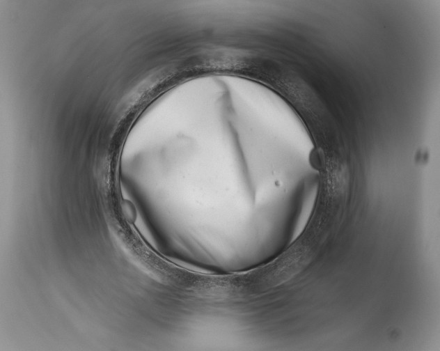 X0000113990726200910231729