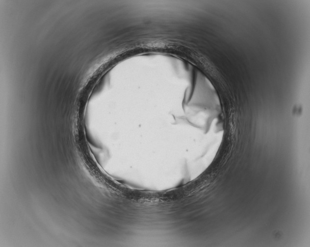 X0000113990728200910231729