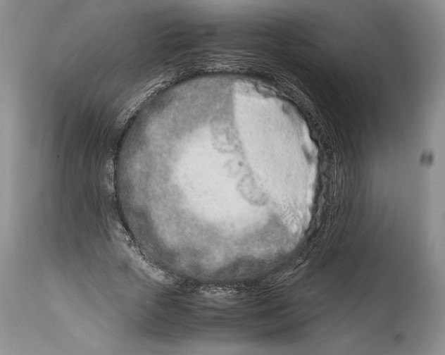 X0000113990729200910231729