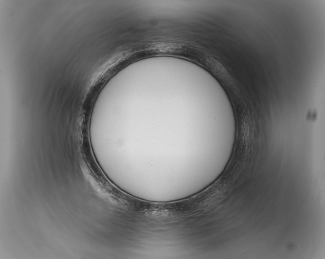 X0000113990730200910231729