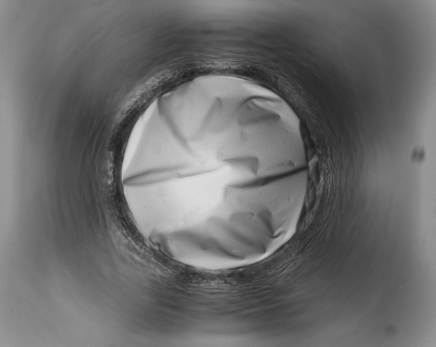 X0000113990731200910231729