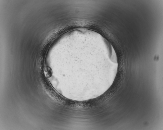 X0000113990736200910231729