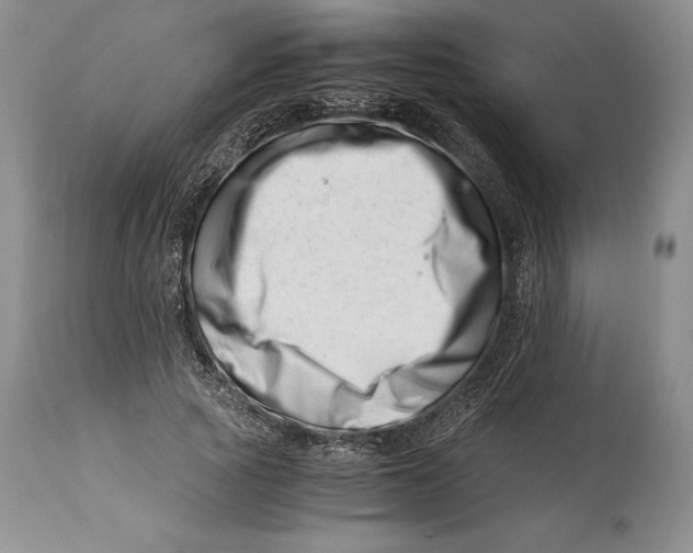 X0000113990737200910231729