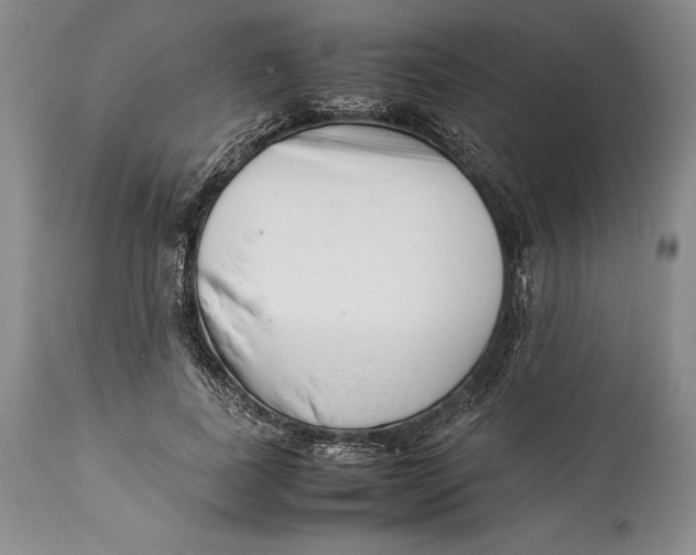 X0000113990739200910231729