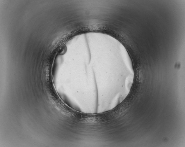 X0000113990740200910231729