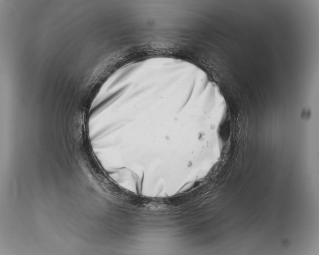 X0000113990742200910231729