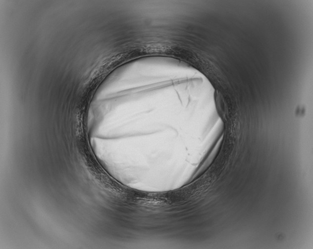 X0000113990743200910231729