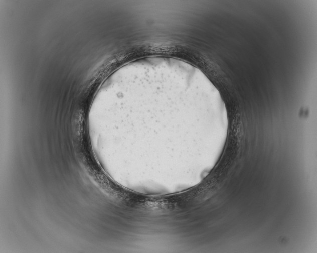 X0000113990744200910231729