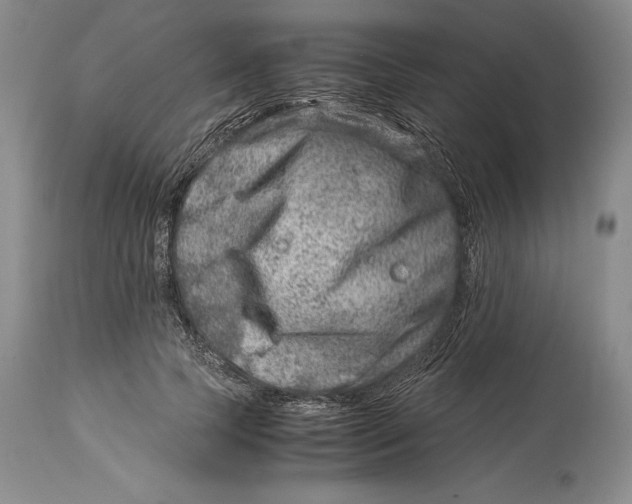 X0000113990745200910231729