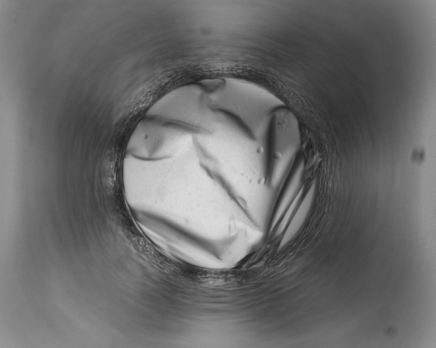 X0000113990746200910231729