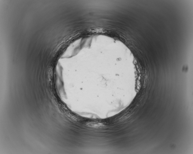 X0000113990747200910231729