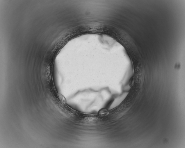 X0000113990748200910231729