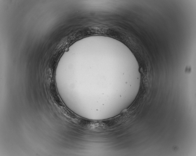 X0000113990752200910231729