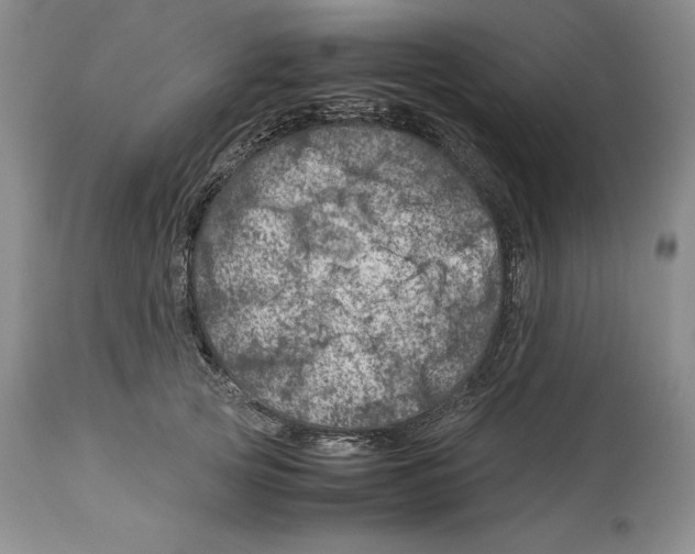 X0000113990753200910231729