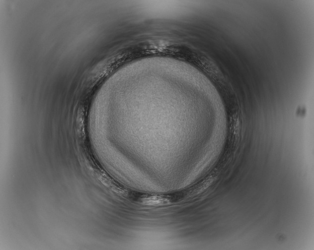 X0000113990754200910231729