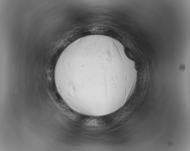 X0000113990755200910231729