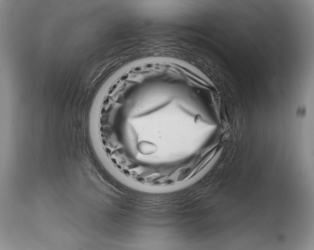 X0000113990756200910231729