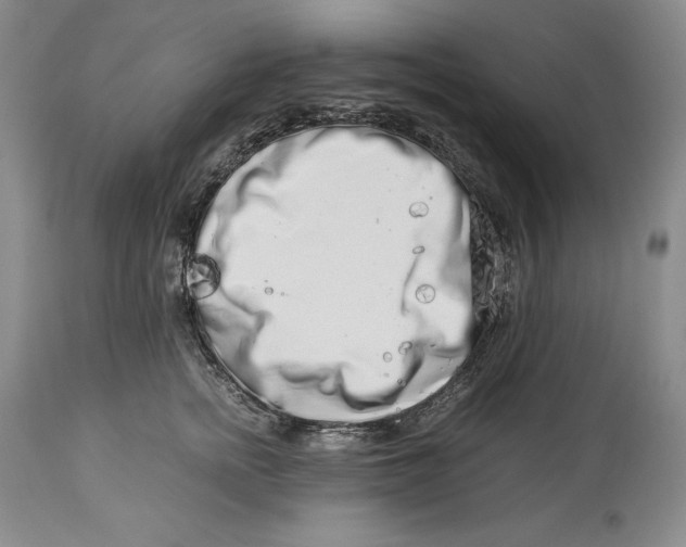 X0000113990758200910231729