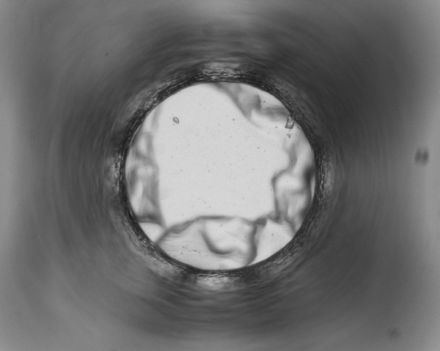 X0000113990759200910231729