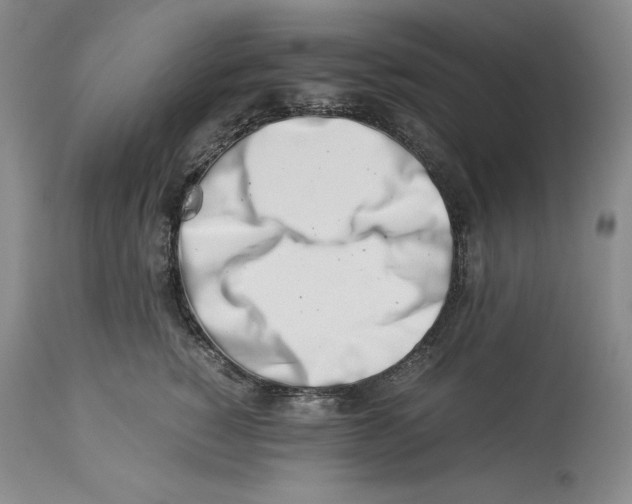 X0000113990760200910231729