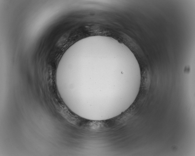 X0000113990762200910231729