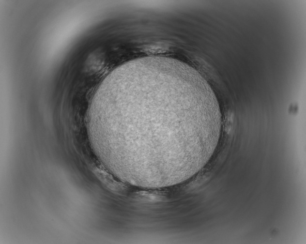 X0000113990763200910231729