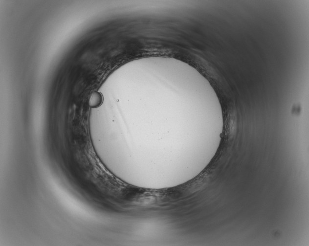 X0000113990764200910231729