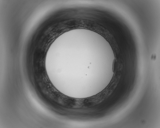 X0000113990766200910231729