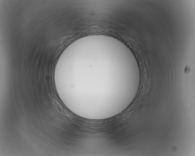 X0000113990768200910231729