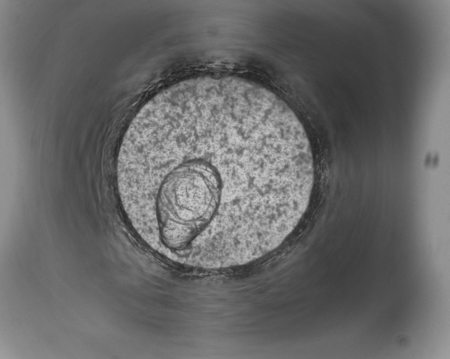 X0000113990769200910231729