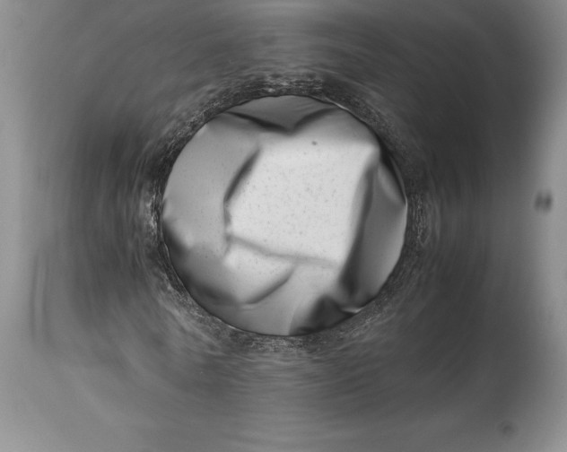 X0000113990770200910231729