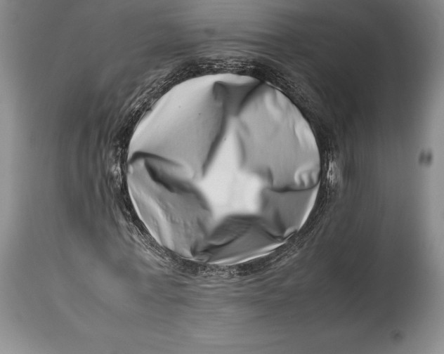 X0000113990771200910231729