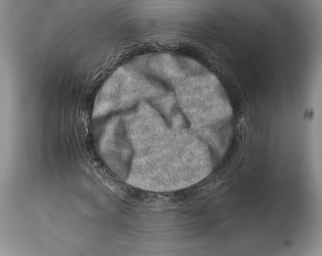 X0000113990772200910231729