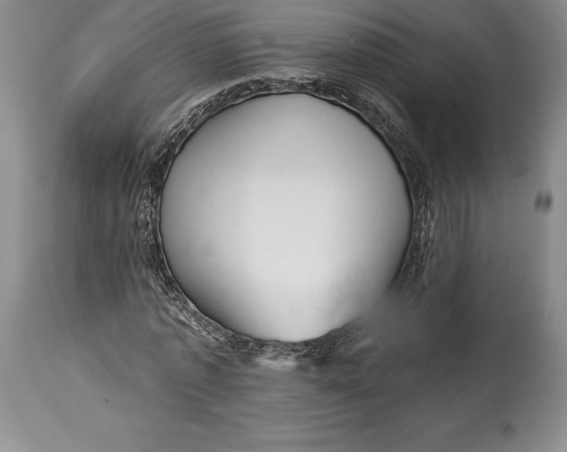 X0000113990773200910231729