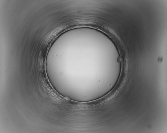 X0000113990777200910231729