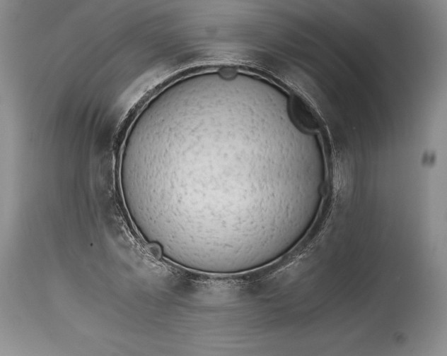 X0000113990781200910231728