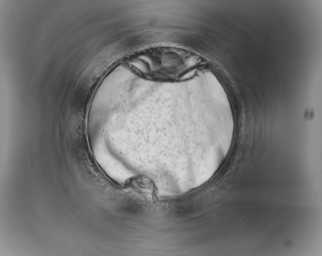 X0000113990785200910231728