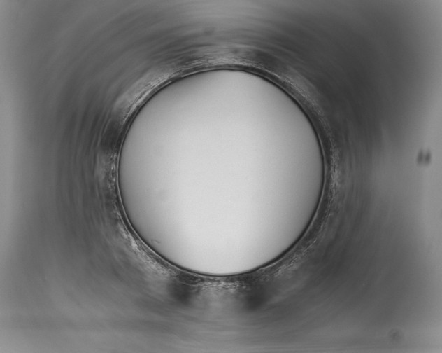 X0000113990793200910231728