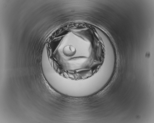 X0000113990801200910231728