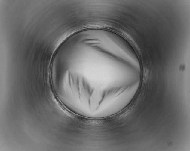 X0000113990802200910231728