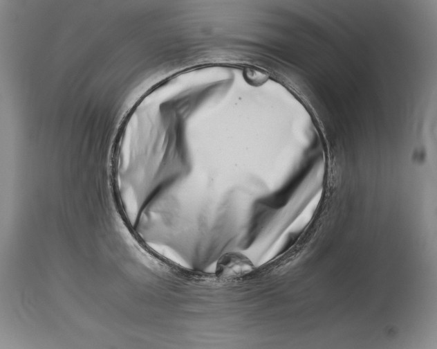 X0000113990803200910231728