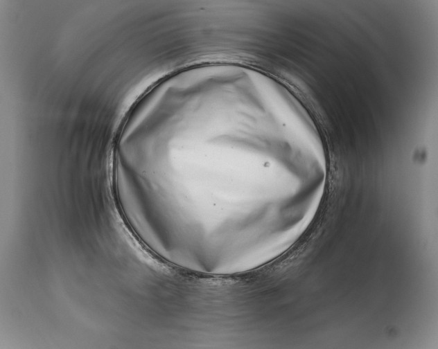 X0000113990804200910231728