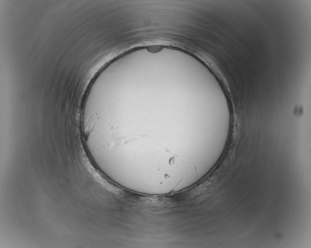 X0000113990805200910231728