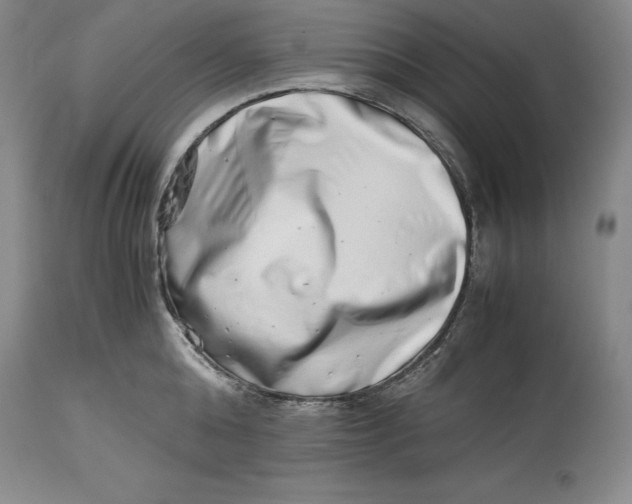 X0000113990808200910231728